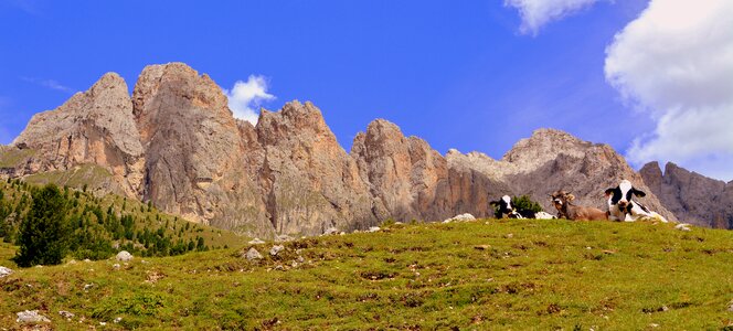 Dolomites mountain prato photo