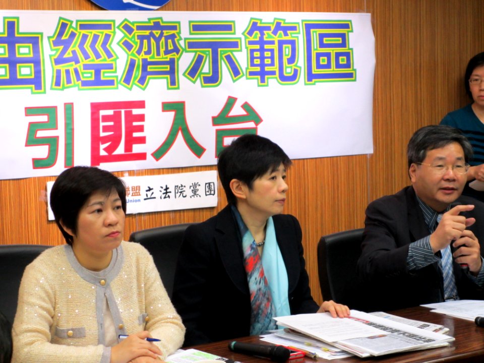 Taiwan Solidarity Union from VOA (3)