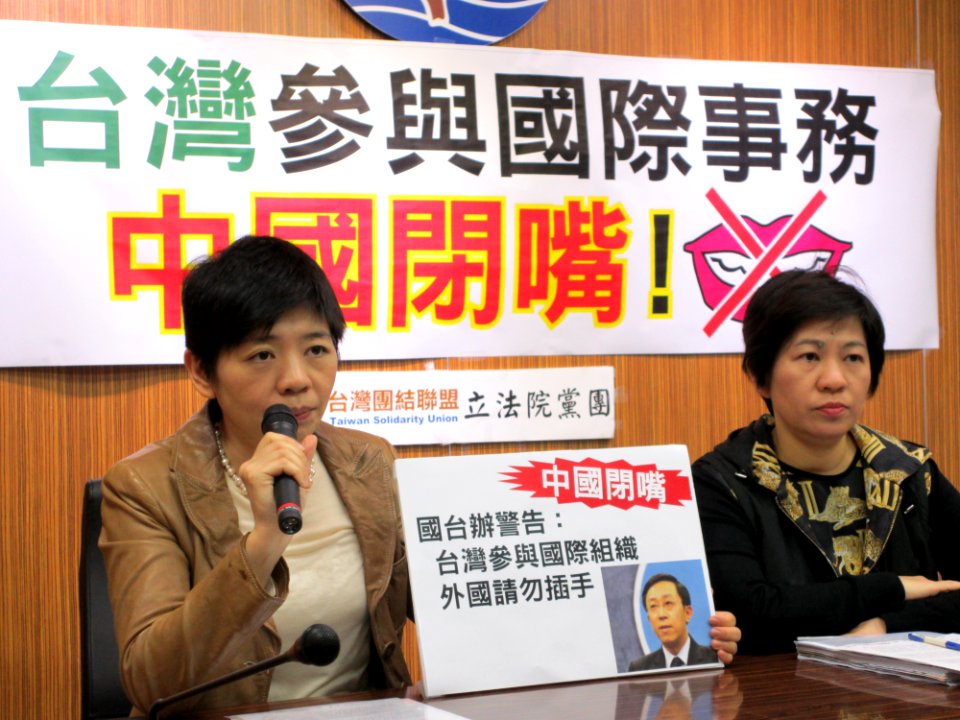Taiwan Solidarity Union from VOA (4)
