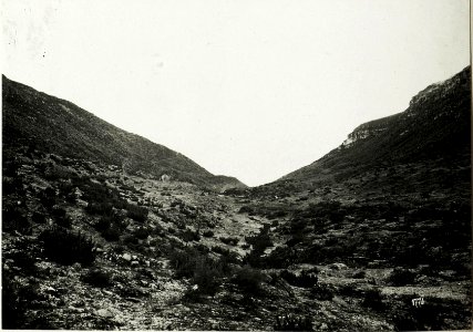 Tal zwischen Monte Spil und Monte Pazul mit Malga Cheserle. (BildID 15587651)