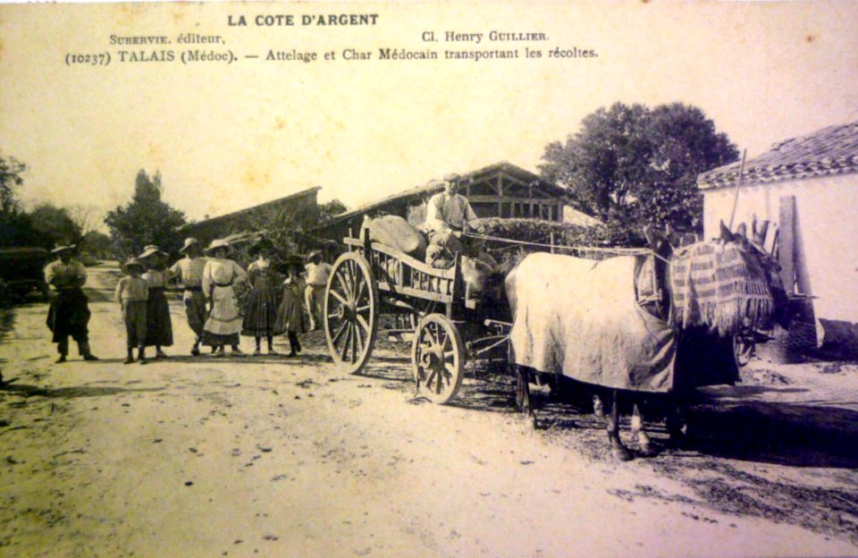 Talais - attelage et char Médocain