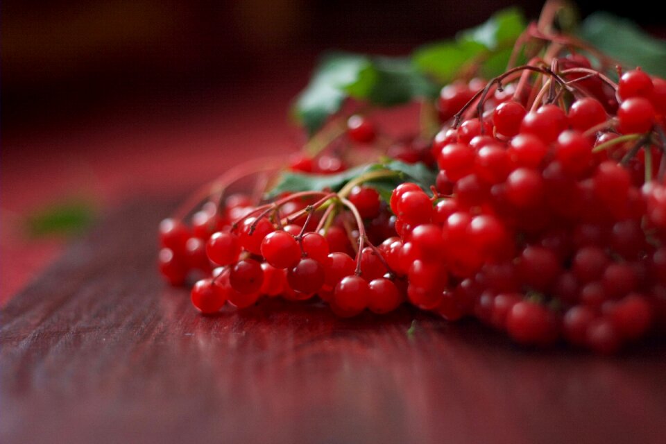 Food dessert healthy