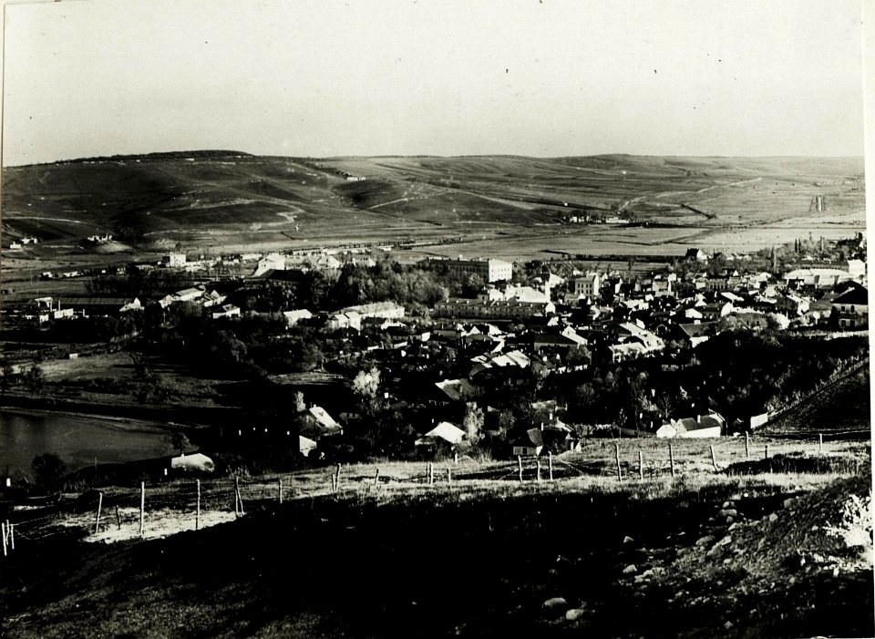 Tal der Zlota Lipa und Brzezany von Osten