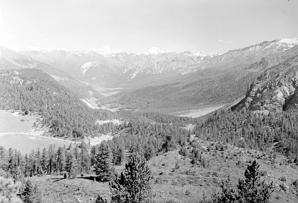 Talblick von der Ofenpasshöhe mit Ortler im Hintergrund - CH-BAR - 3239910