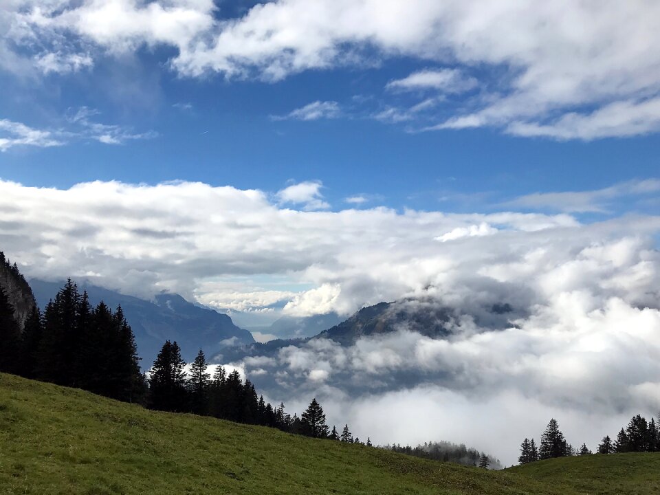 Fog sky mood