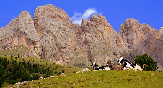 Dolomites mountain prato photo