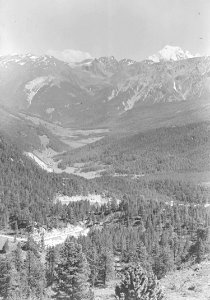 Talblick von unterhalb der Ofenpasshöhe mit dem Ortler im Hintergrund - CH-BAR - 3239913