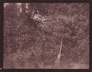 Talbot, William Henry Fox - Spaten und Besen (Zeno Fotografie)