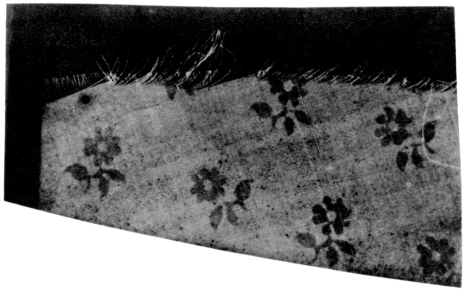 Talbot, William Henry Fox - Fragment eines Gewebes (Zeno Fotografie)