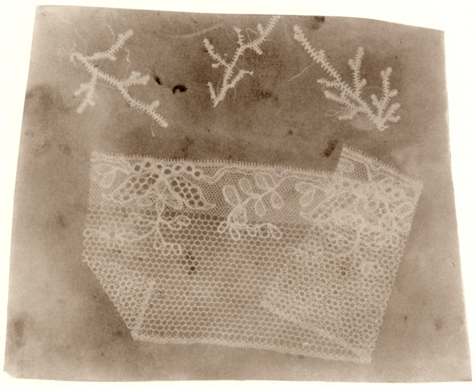 Talbot, William Henry Fox - Moos und Spitze (Zeno Fotografie)