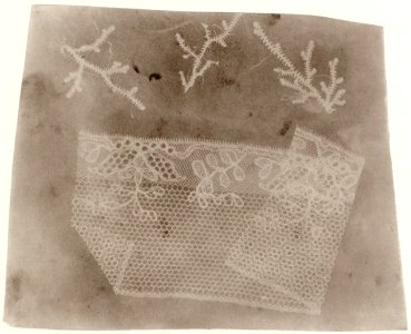 Talbot, William Henry Fox - Moos und Spitze (Zeno Fotografie)
