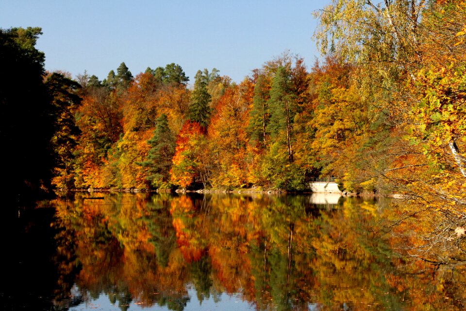 Autumn autumn mood lake photo