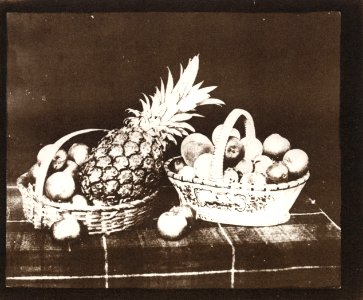 Talbot, William Henry Fox - »Früchte«, aus »Der Stift der Natur« (Zeno Fotografie)