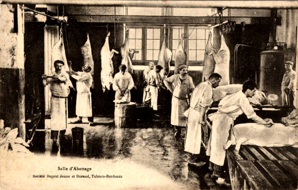 Talence - usine Olida 2