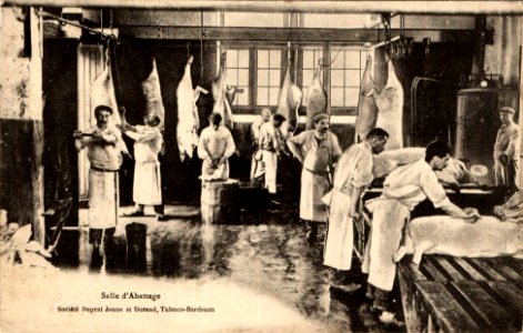 Talence - usine Olida 2