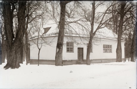 Tallinn, Peeter I maja, AM N05955