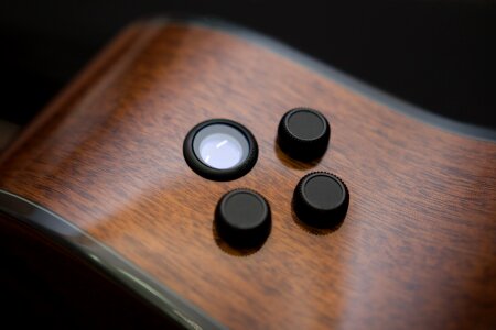 Wood acoustic pickup