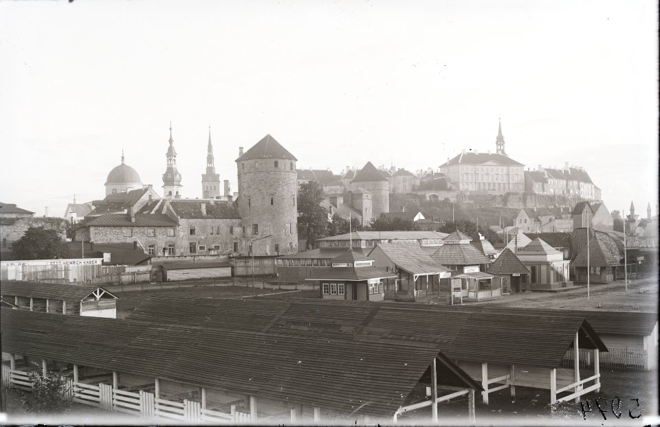 Tallinn, Näituste väljak, AM N05974
