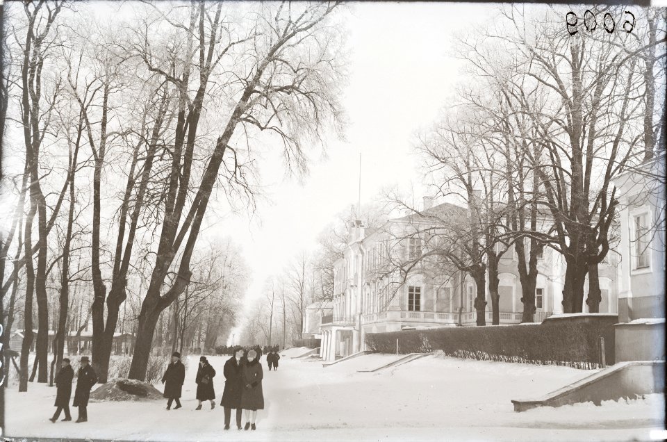 Tallinn, Kadrioru loss, AM N06009