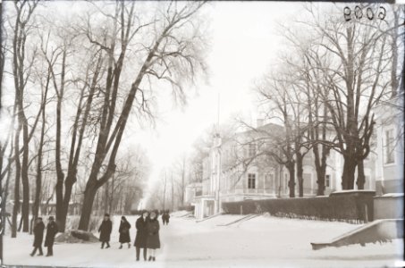 Tallinn, Kadrioru loss, AM N06009