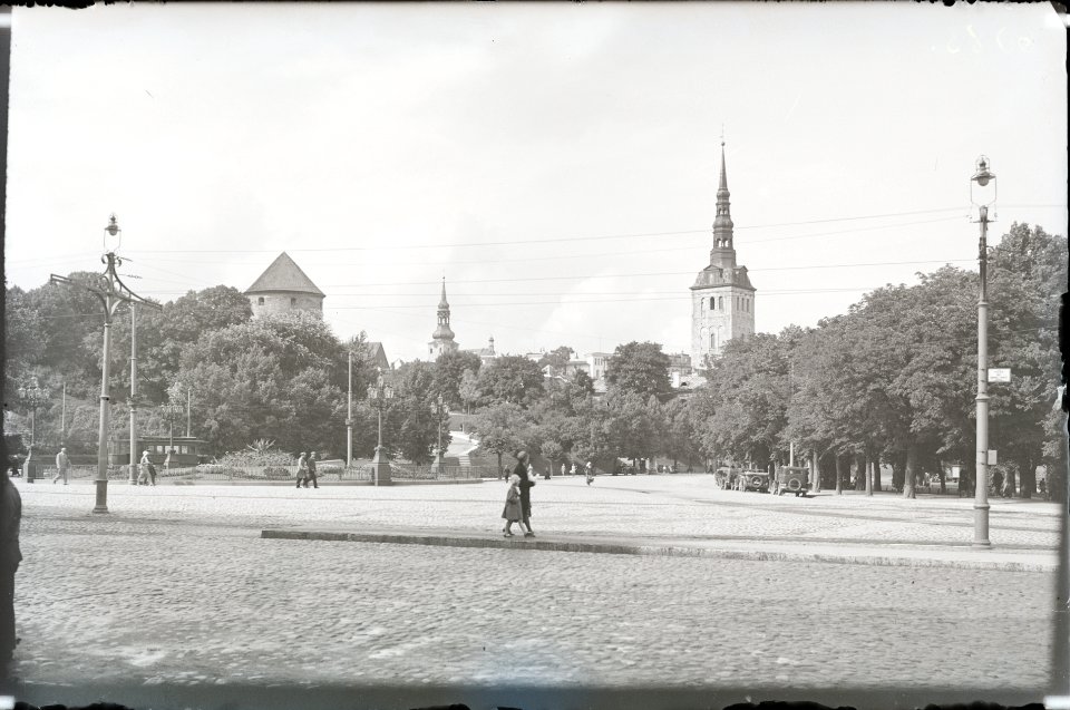 Tallinn, Vabaduse väljak, AM N06083