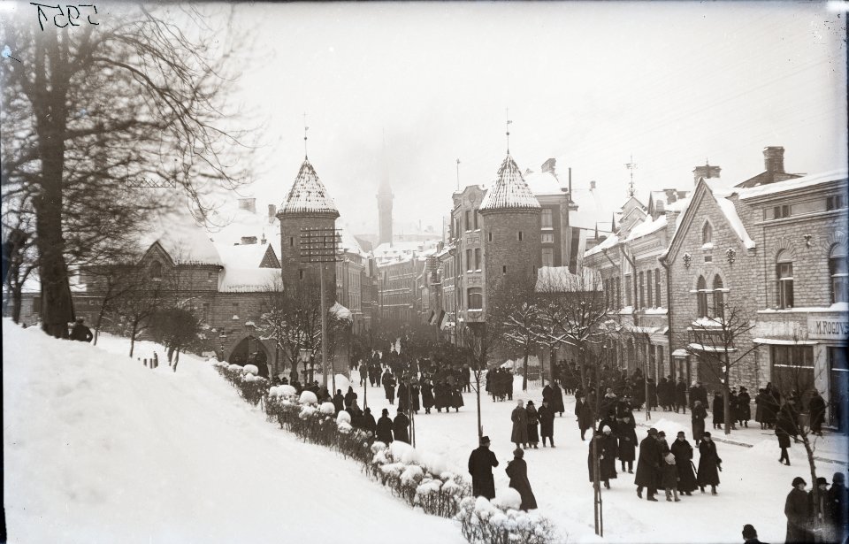 Tallinn. Vaade Musumäelt Viru tänavale, AM N05951