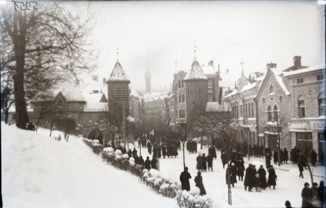 Tallinn. Vaade Musumäelt Viru tänavale, AM N05951