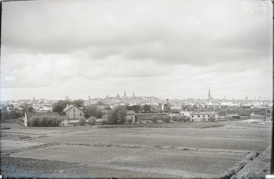 Tallinn, vaade linnale lõunast, AM N06055