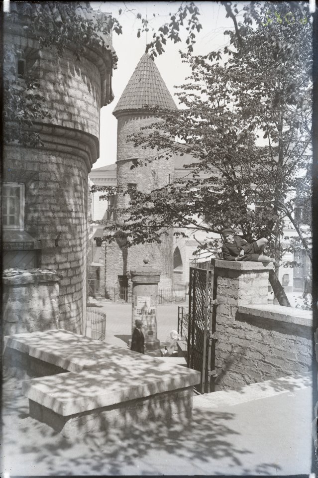 Tallinn, vaade Musumäelt (Viruvärava mägi), AM N06082
