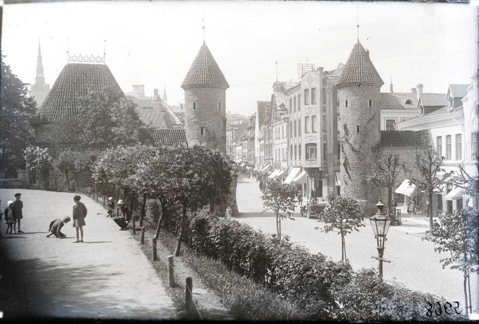 Tallinn. Vaade Musumäelt Viru tänavale, AM N05968