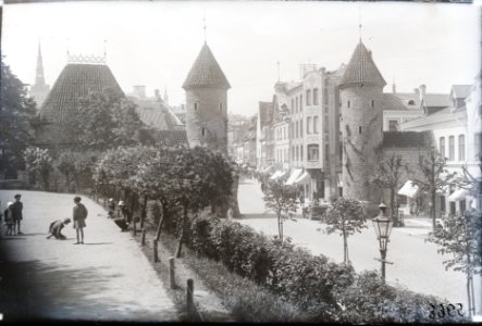 Tallinn. Vaade Musumäelt Viru tänavale, AM N05968