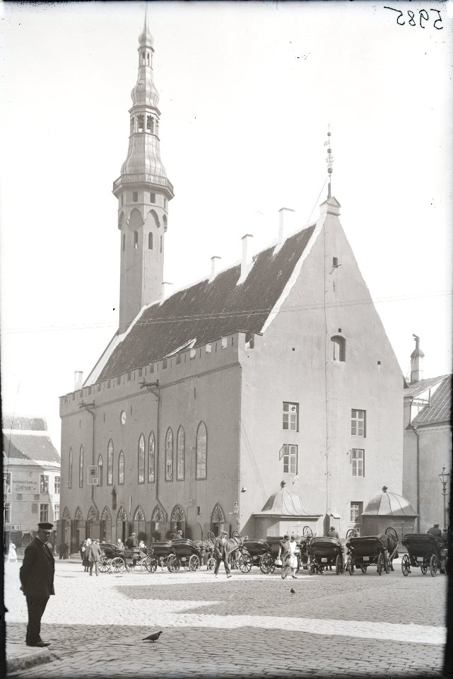 Tallinna Raekoda, AM N05985