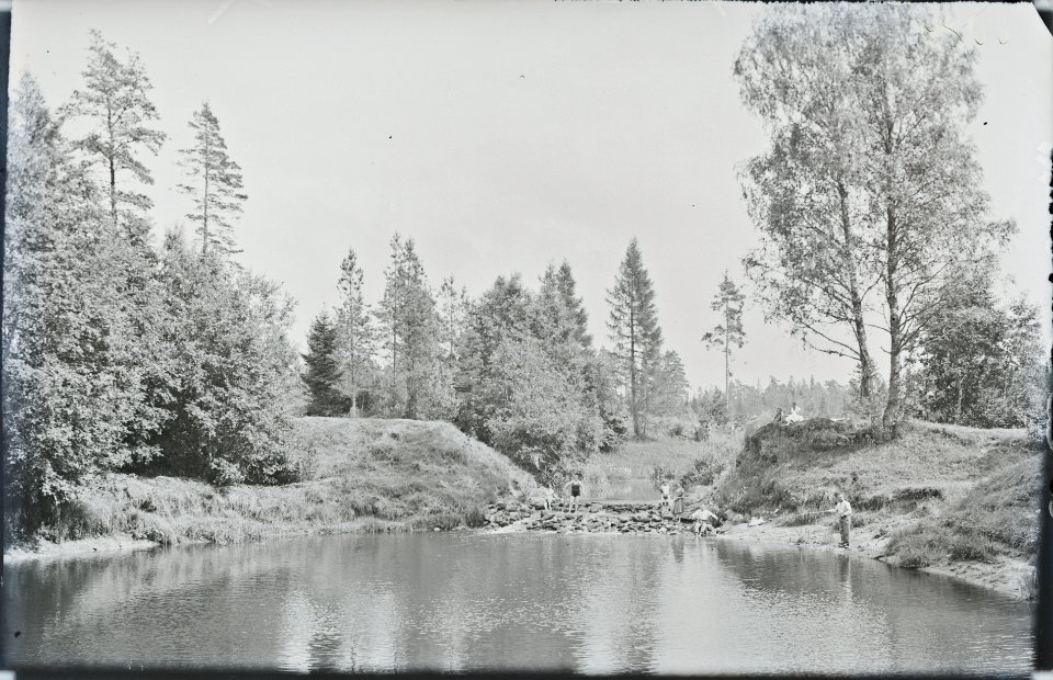 Tamm Pirita jõel, AM N06089