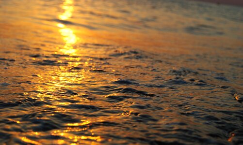 Nature wave sun