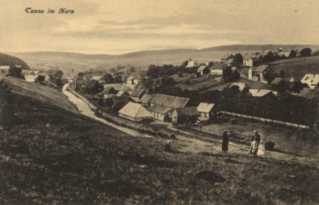 Tanne (Harz), Sachsen-Anhalt - Stadtansicht (Zeno Ansichtskarten)