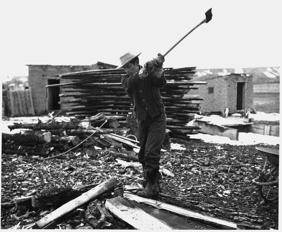 Taos County, New Mexico. Chopping wood is a daily chore. Louis Lopez, Picaris Indian working for P . . . - NARA - 521911