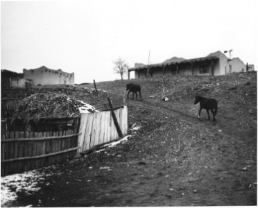 Taos County, New Mexico. Corrals, horses, sheep, dwelling, Llano Quemado. - NARA - 521909