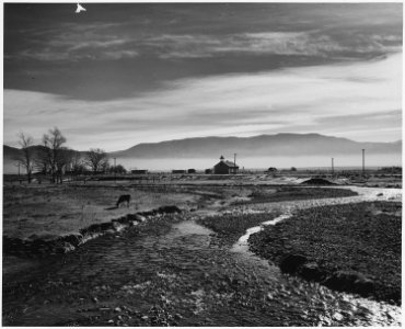 Taos County, New Mexico. The Rio Pueblo de Taos - mist in Taos Valley in the a.m. - NARA - 521818
