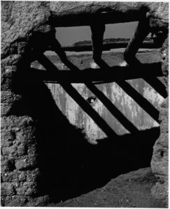 Taos County, New Mexico. The semi-abstract patterns of details of abandoned adobe buildings that ha . . . - NARA - 521873