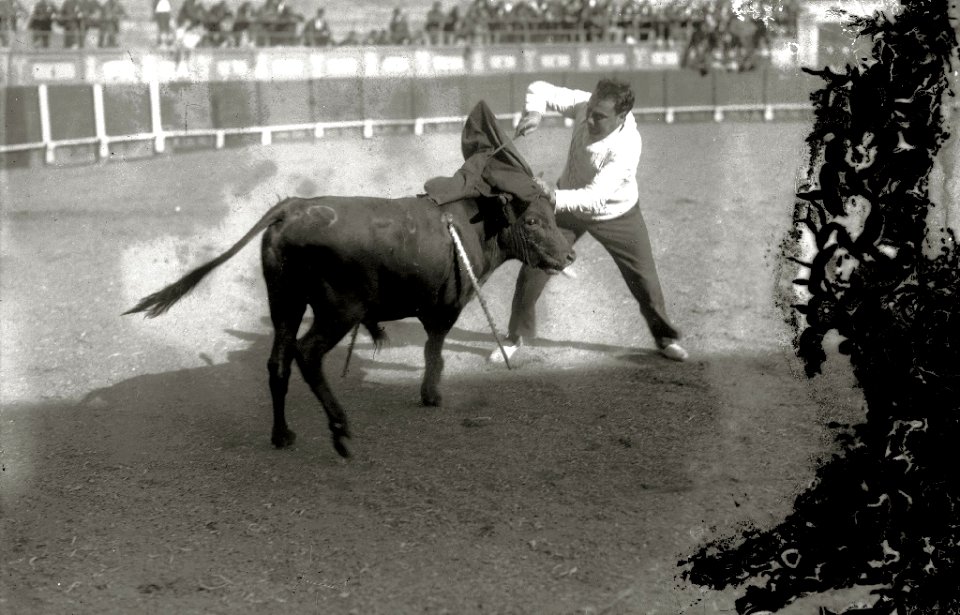 Tarde de toros en la plaza de 'El Txofre' (27 de 58) - Fondo Car-Kutxa Fototeka