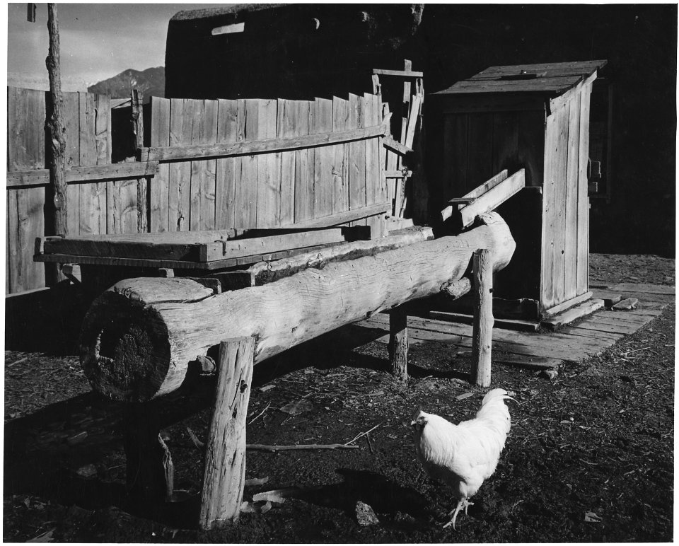Taos County, New Mexico. Watering trough, Los Cordovas - NARA - 521941