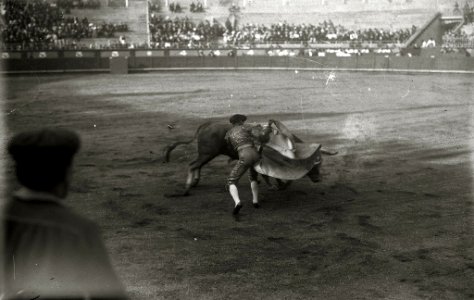 Tarde de toros en la plaza de 'El Txofre' (14 de 58) - Fondo Car-Kutxa Fototeka