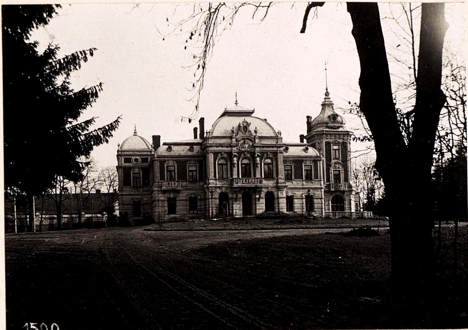 Tartakow, Schloß Potocki. (22-II.1918.) (BildID 15713538)