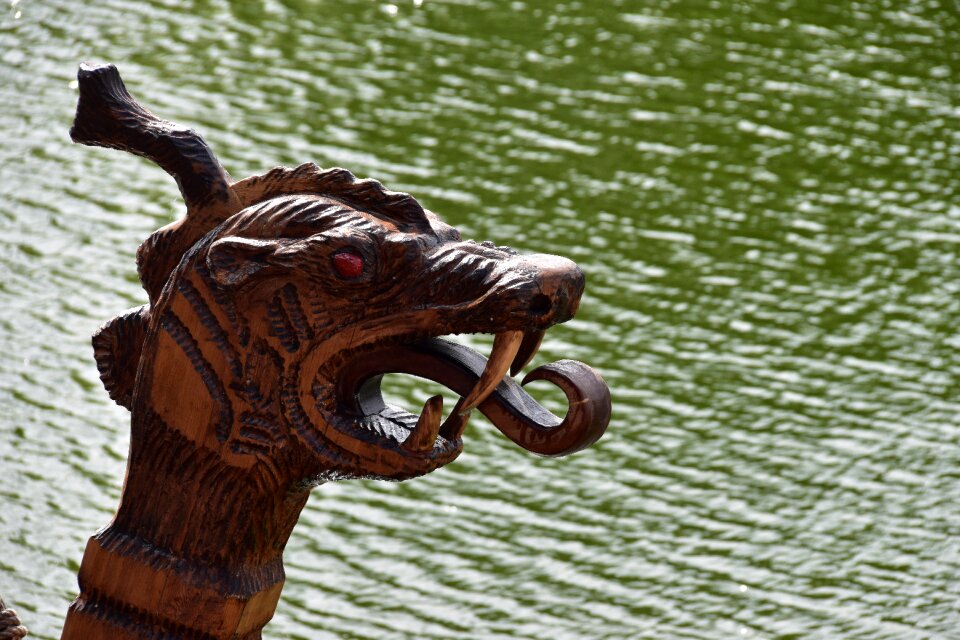Waters nature reptile