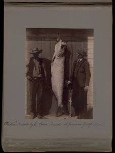 Tarpon caught by Sir Bache Cunard - St. James on Gulf, Florida LCCN2002712450 photo