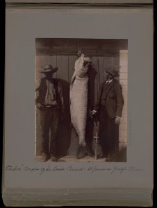 Tarpon caught by Sir Bache Cunard - St. James on Gulf, Florida LCCN2002712450