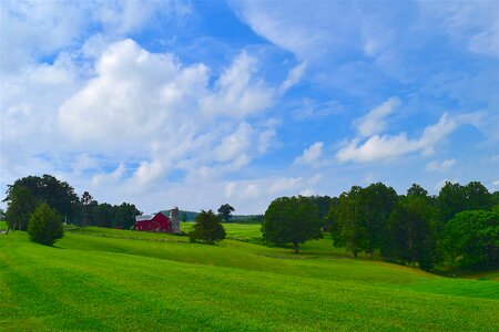 Silo grass pasture