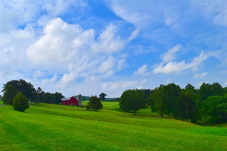 Silo grass pasture photo