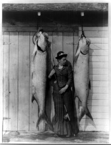 Tarpon caught by Mrs. Charles E. Allen of Glasgow, Scotland, at St. James City, Florida LCCN2002711512 photo