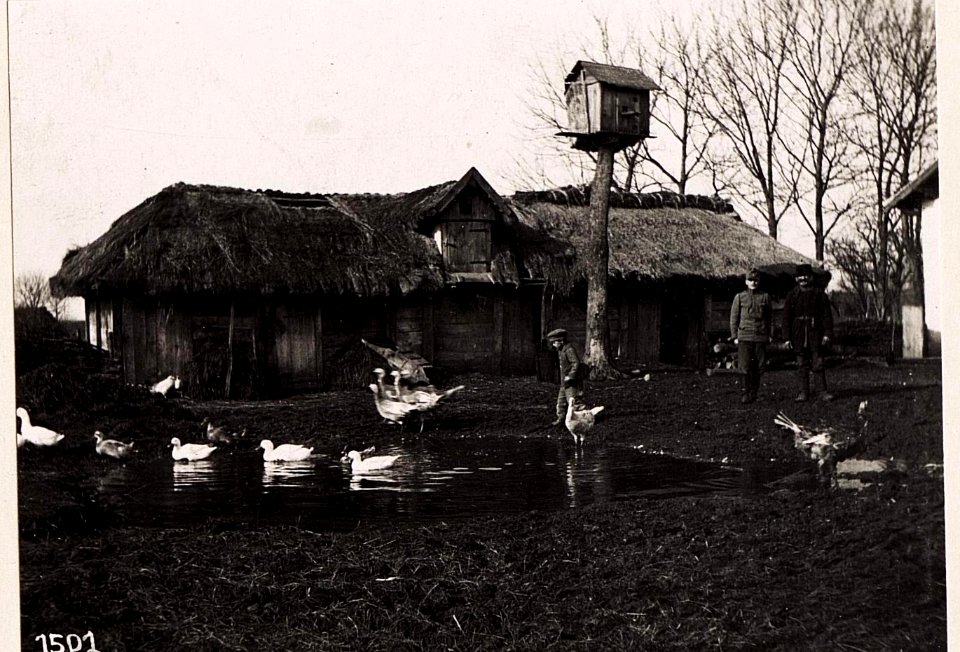 Tartakow, Bauernhof. (22-II.1918.) (BildID 15713545)